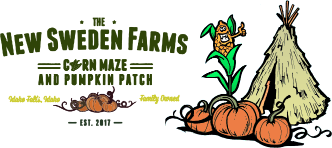 New Sweden Farms Corn Maze and Pumpkin Patch